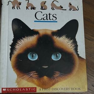 Scholastic Cats Picture Book — First Discovery Books series,